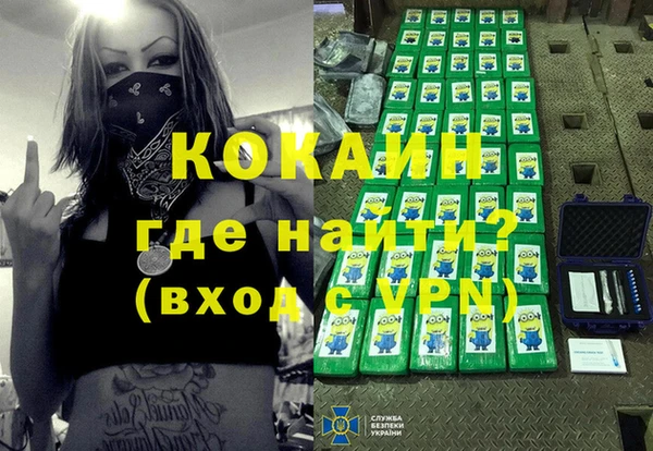 apvp Алзамай